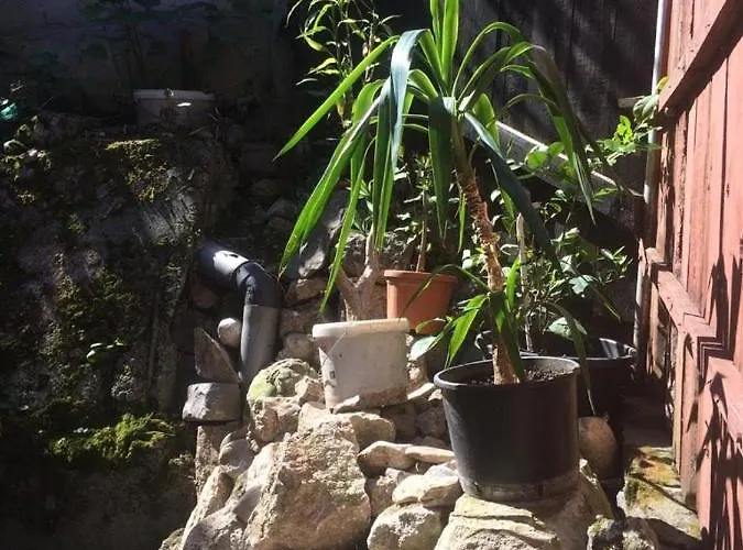 Camera Cu Baie Si Curte-centru Istoric Bed & Breakfast Brasov