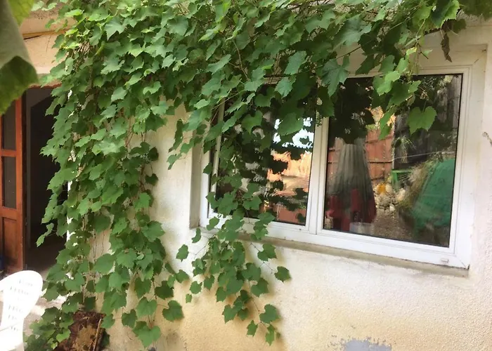 Camera Cu Baie Si Curte-centru Istoric Brasov